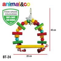 Gambar MAINAN BURUNG PARROT ANIMAL AND CO BT 24 dari IvanPlastik undefined 2 Tokopedia
