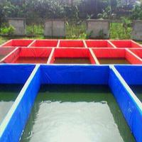 Gambar terpal kolam ikan ukuran 3x5 meter tinggi 1 meter a5 korea dari terpal murah undefined 2 Tokopedia