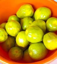 Gambar Manisan JAMBU BIJI Aguan Segar Jambu klutuk Aguan Home Made Snacks dari Haiyang Central_NEW undefined 2 Tokopedia