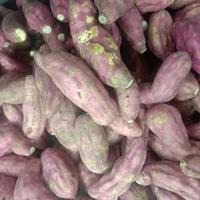 Gambar UBI JEPANG MURASAKI dari KIOS BUAH SEGAR OFFICIAL undefined 3 Tokopedia