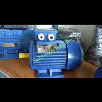 Gambar DINAMO 0.5 HP FAMOUS PRO 1/2 HP RPM 1450 dari semesta teknik_NEW undefined 2 Tokopedia