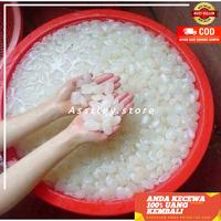 Gambar Kolang Kaling Mentah Super Kualitas Branded 1 Kg Harga Grosir - 1 kg dari astley undefined 2 Tokopedia