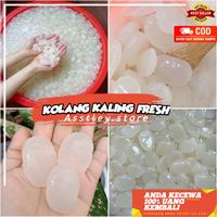 Gambar Kolang Kaling Mentah Super Kualitas Branded 1 Kg Harga Grosir - 1 kg dari astley undefined 1 Tokopedia