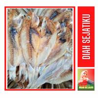 Gambar Ikan Asin Kuniran Kemasan 250gram dari MITRA SUMBERBARU undefined 1 Tokopedia