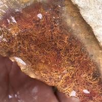 Gambar batu akik lumut merah 75 dari Sumatran Agate undefined 1 Tokopedia