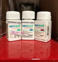 Gambar Apoquel 3.6 mg - 16 mg / Obat Anti Gatal dan Alergi Anjing PER TABLET - 5,4 mg dari RoyalPetindo undefined 2 Tokopedia
