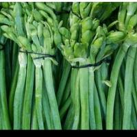 Gambar sayur genjer 1 ikat dari BAKULNYA SAYUR_NEW undefined 1 Tokopedia