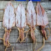 Gambar Sotong Kering / Cumi Kering / Juhi / Jiu He - Besar, ±250gram dari Kalbar shop Aneka Snack undefined 2 Tokopedia