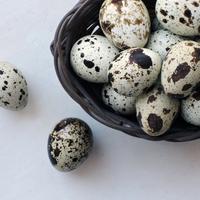 Gambar telur puyuh 1kg isi 90 butir dari Apagam Jaya undefined 1 Tokopedia