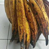 Gambar pisang tanduk super per biji - Matang, Besar dari Abu Ali Buah undefined 1 Tokopedia