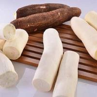 Gambar Ubi Kayu/Singkong fresh 1 kg dari ALIFA SMART undefined 1 Tokopedia