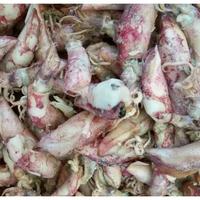 Gambar Cumi asin 100 gram dari SUNARDI PASAR CIPUTAT undefined 1 Tokopedia