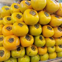 Gambar buah kesemek import persimon persimons manis garing korea australia - KOREA dari Asan Buah Segar undefined 4 Tokopedia