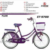 Gambar Sepeda Keranjang Mini Exotic 9788 20 Inch New dari Toko Sepeda Sumber Baru undefined 3 Tokopedia
