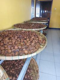 Gambar getuk goreng sokaraja banyumas asli gethuk goreng original - durian dari LIMA BENUA undefined 2 Tokopedia