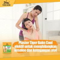 Gambar TIGER BALM PLASTER COOL 6 PCS dari Tiger Balm undefined 2 Tokopedia