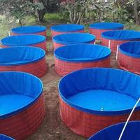Gambar kolam terpal bulat diameter 3 tinggi 1 meter tipe A8 dari terpal barokah makmur jaya undefined 3 Tokopedia