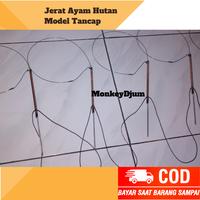 Gambar Racik jerat Ayam Hutan Tancap bukan ruak ruak - 27mata/Laga dari Monkey Djum undefined 4 Tokopedia