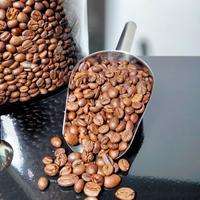 Gambar Biji Kopi Fine Robusta Pagar alam Petik merah 1 kg, Souvenir, Cendera Mata, Oleh-Oleh, Pengharum/Pewangi Ruangan, Obat Kantuk, Bisa untuk Diet, Pelancaran Pencernaan, Minuman Menyehatkan. Black Coffee Susu Natural Espresso - 1 Kg, Giling Kasar dari Fatherscoffee undefined 1 Tokopedia