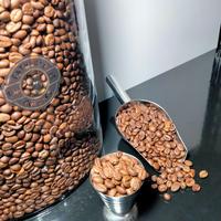 Gambar Biji Kopi Fine Robusta Pagar alam Petik merah 1 kg, Souvenir, Cendera Mata, Oleh-Oleh, Pengharum/Pewangi Ruangan, Obat Kantuk, Bisa untuk Diet, Pelancaran Pencernaan, Minuman Menyehatkan. Black Coffee Susu Natural Espresso - 1 Kg, Giling Kasar dari Fatherscoffee undefined 2 Tokopedia