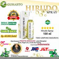Gambar HIRUDO SPRAY + OBAT STROKE + OBAT KOLESTROL + OBAT MIGRAIN + OBAT dari lempung maduraya undefined 1 Tokopedia