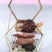 Gambar ring box terarrium/ tempat cincin/ tempat mahar/ tempat perhiasan HEXA - L dari The Wedding Rustic undefined 3 Tokopedia