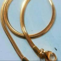 Gambar kalung titanium gepeng - Putih dari sasol aksesoris couple undefined 1 Tokopedia