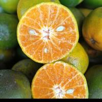 Gambar BUAH JERUK PERAS FRESH PER KG dari fresh Fruit Riansyah undefined 2 Tokopedia