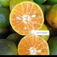 Gambar BUAH JERUK PERAS FRESH PER KG dari fresh Fruit Riansyah undefined 1 Tokopedia