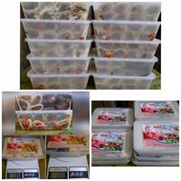 Gambar Kebab Putih by Kebab Frozen +62 / Kebab Daging Sapi / Kebab enak - Tidak Pedas dari camilanplus62 undefined 5 Tokopedia