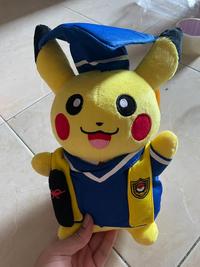Gambar Boneka Pikachu Wisuda Boneka Wisuda Boneka Graduation Boneka Kucing - 20cm Charizard dari DKBSHOP undefined 4 Tokopedia