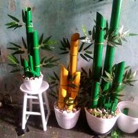 Gambar terapi suara air mancur bambu super minimalis - Kuning dari Yuli Astika_shop undefined 2 Tokopedia