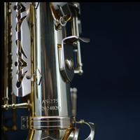 Gambar Ludwig Alto Saxophone LAS-275 by Jsax (100% NEW) dari Ludwig by Jsax undefined 3 Tokopedia