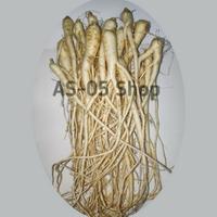 Gambar akar gingseng JAWA PREMIUM dari TOPP SELLER undefined 4 Tokopedia