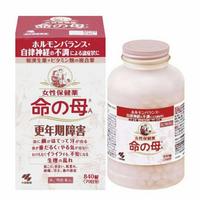 Gambar Kobayashi Inochi No Haha Mother of Life Supplement Menopause - 420 Tab dari Vinalufil undefined 1 Tokopedia