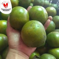 Gambar Jeruk Jember Semboro Jumbo Fresh Manis - JonsMart - 1kg dari JonsMart10 undefined 2 Tokopedia