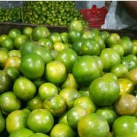 Gambar Jeruk Jember Semboro Jumbo Fresh Manis - JonsMart - 1kg dari JonsMart10 undefined 4 Tokopedia