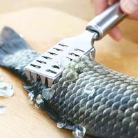 Gambar Pembersih Sisik Ikan Stainless Steel Murah dari Dapur DV_NEW undefined 3 Tokopedia