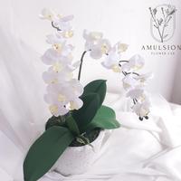 Gambar Bunga Anggrek Artificial Premium Import Latex Set Pot Terracotta - Putih dari Amulsion Flower Lab undefined 3 Tokopedia