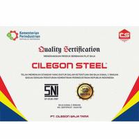 Gambar CNP BAJA RINGAN CILEGON STEEL (PLATINUM) TEBAL 0,75MM X 6 MTR dari Mega Baja Indonesia undefined 2 Tokopedia