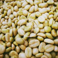 Gambar Kopi Arabica Kuning Yellow Bourbon Garut Asli Mahkota Java Coffee 200g dari Mahkota Java Coffee Garut undefined 4 Tokopedia