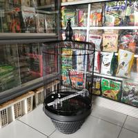 Gambar SICEPAT GOKIL - SANGKAR/KANDANG KAPSUL BESI JUMBO MERK PANDA dari Adoz Bird Shop undefined 1 Tokopedia