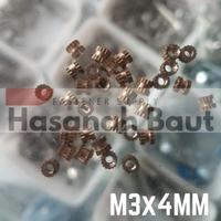 Gambar Mur Kuningan M3x4MM / Brass Knur dari Hasanah Baut undefined 2 Tokopedia