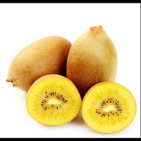 Gambar Bibit Unggul Kiwi Golden | Benih Kiwi Kuning | Bibit Kiwi Gold dari De Coral undefined 2 Tokopedia