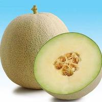 Gambar Buah Melon Super dari CMF Fruit Shop undefined 1 Tokopedia