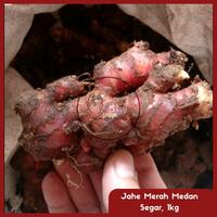 Gambar Jahe merah 1 kg/ Jahe merah Medan segar dari OkBr undefined 1 Tokopedia