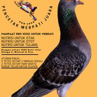 Gambar VITAMIN BURUNG MERPATI KOLONG JUARA PENCETAK PIYIK DAN BAKALAN DARA dari Toko_solusi12 undefined 1 Tokopedia
