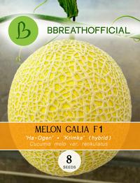 Gambar Seeds melon galia hybrida - Benih melon galia isi 8 biji benih F1 - 2gr -71 seed dari BABYBREATHOFFICIAL undefined 1 Tokopedia