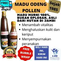 Gambar Madu Odeng Pollen Polen 300 600 mL madu murni asli Hutan Jambi 100% - 300 cc dari I-Fit (Indonesia Fit) undefined 1 Tokopedia