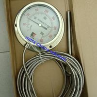 Gambar Thermometer Kapiler Capillary 4 inchi 400°C derajat Celcius dari Mitra Sarana Teknindo undefined 1 Tokopedia
